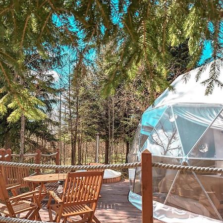 Hotel Medve Dome - Luxury Camping In The Middle Of Nature Vlahita Exterior foto