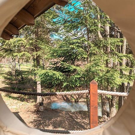 Hotel Medve Dome - Luxury Camping In The Middle Of Nature Vlahita Exterior foto