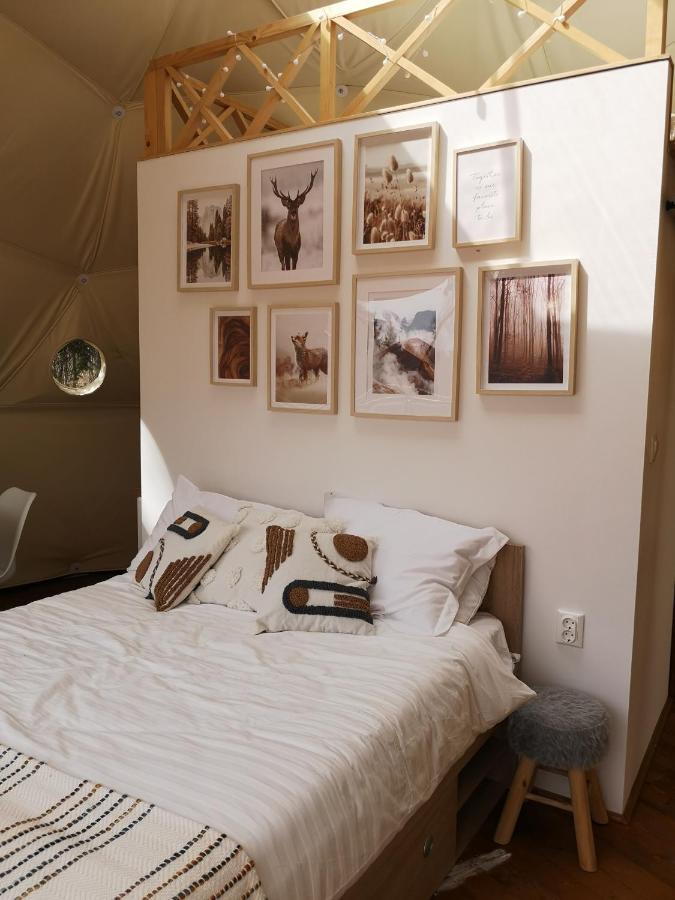 Hotel Medve Dome - Luxury Camping In The Middle Of Nature Vlahita Exterior foto