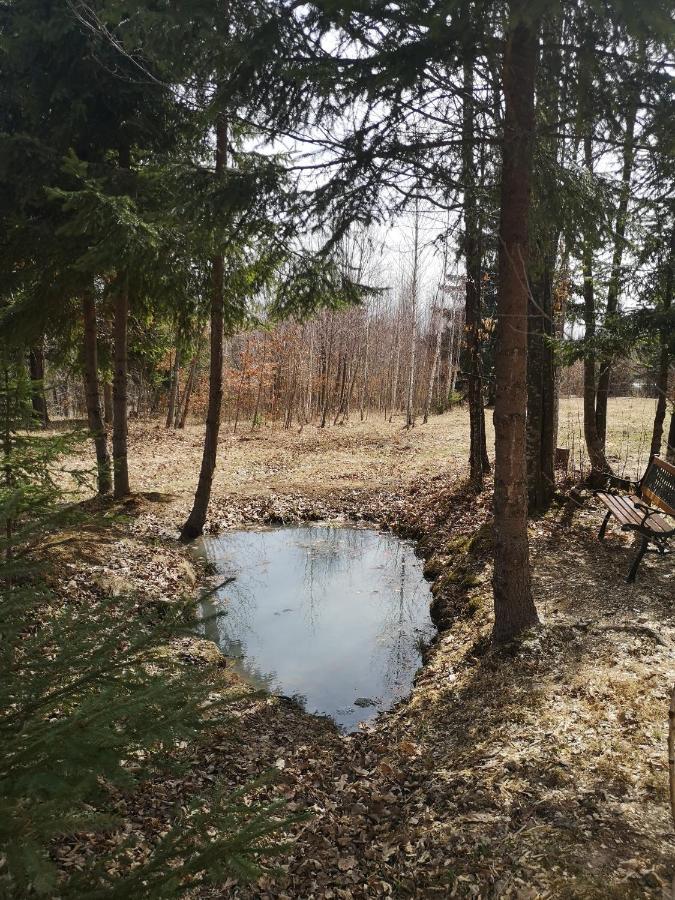 Hotel Medve Dome - Luxury Camping In The Middle Of Nature Vlahita Exterior foto