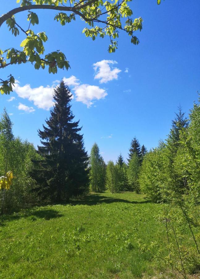 Hotel Medve Dome - Luxury Camping In The Middle Of Nature Vlahita Exterior foto